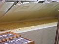 DSCF8966