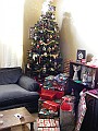 DSCF0650