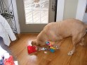 DSCF7802